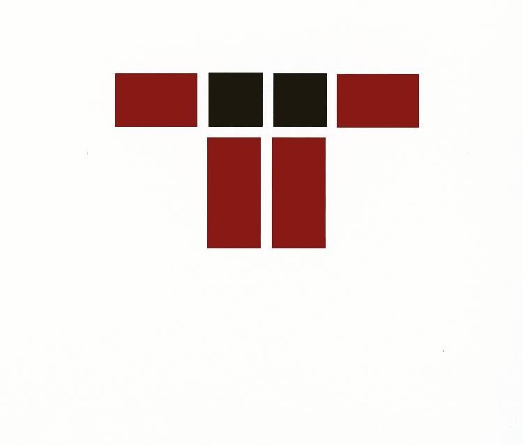 Logo TRUNA Treuhand