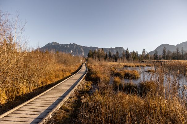 Herbst im Inzeller Moor